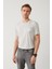 Erkek Gri Bisiklet Yaka Baskılı Soft Touch T-Shirt A41Y1136 3