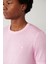 Erkek Pembe Bisiklet Yaka Garment Dyed T-shirt A41y5074 2