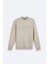 Erkek Taş Bisiklet Yaka 3 Iplik Şardonlu Baskılı Sweatshirt A42y1306 6