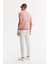 Erkek Pembe Regular Fit Polo Yaka Dokulu Triko T-shirt B005120 4
