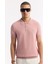 Erkek Pembe Regular Fit Polo Yaka Dokulu Triko T-shirt B005120 5