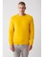 Erkek Sarı Bisiklet Yaka 3 Iplik Şardonlu Pamuklu Sweatshirt E001017 3
