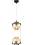 Avonni AV-60180-2BSY Siyah Boyalı Avize, E27, Metal, Cam, 20X15 cm 1
