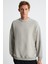 Ludım Erkek Bej Sweatshirt 1