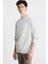 Ludım Erkek Gri Sweatshirt 2