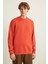 Natas Erkek Yumuşacık Kumaşlı Regular Organik Cotton Yuvarlak Yakalı Kiremit Rengi Sweatshirt 1