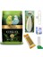 Premium Muhabbet Kuş Yemi 1 kg 2027 Skt Taze Yem / Exovit Kalamar Kemiği 10-12 cm ve Tutacağı/ Exovit 3'lü Ballı Kraker / Exovit Suluk / Exovit Gaga Taşı Avantaj Seti 1