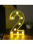 Giftmoda 3D Işıklı LED Sayı Dekoratif Aydınlatma Büyük Boy 2 1