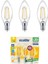 Ecolite 4W LED Filament Mum Ampul, E14 Duy, 2700K Sarı Işık, 470 Lümen, Şeffaf Cam, Akkor Görünümlü 1