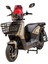 - Carry 10000 Elektrikli Scooter - 2024 Model 1