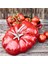 Dust Cocotte Domates 25 cm Kiraz Kırmızısı Kızartma Tavası, Dökümü Demir 2