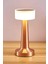 Neo Vista Şarjlı Dokunmatik Dekoratif Dim Edilebilir Masa Lambası (Rosegold, Inci) 1