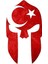 Quart Aksesuar Ay Yıldız Türk Bayrağı Miğfer Sticker 15 x 8,5 cm 1