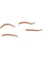 Berkley Gulp Alive Angle Worm Kurt 1