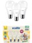 Ecolite 12W LED Ampul 3'lü Paket – 1521 Lümen, 100W Eşdeğer, E27 Duy, 3000K Sarı Işık, Opal Cam,%88 1