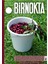 Istanbul Birnokta Dergi 282.SAYI Temmuz 2025 1