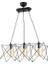 Avonni Siyah Boyalı Modern Avize, E27, Metal, Cam, 60X20CM 1