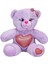 Bfs 1512 Renkli Peluş Ayı 26 cm -Sunman 4