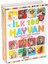 Bfs 1741 Flash Card Ilk 100 Hayvanlar Eğitici Kartlar 2