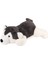 Bfs 4640 Sibirya Kurdu 45 Cm-Emy Grup 1