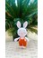 Amigurumi Organik Minnoş Tavşan 1