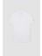 DeFactoFit Slim Fit Polo Yaka Kısa Kollu Pamuklu Tişört V2910AZ24SP 10
