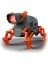 Bfs Robotik Laboratuvarı Walkingbot 1