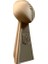 Flexıs We Make It Possıble For You Ffl Kupası Amerikan Futbolu Ödül Kupası 20 cm Gümüş 1
