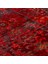 Pietra Pta 20 Red Kırmızı Otantik Halı 2