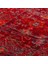 Pietra Pta 20 Red Kırmızı Otantik Halı 4