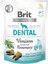 Functional Snack Dental Geyik Etli ve Biberiyeli Köpek Ödül Maması 150 gr 1
