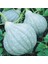 Blue Hubbard Mavi Balkabağı Tohumu 4