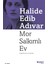 Mor Salkımlı Ev - Halide Edib Adıvar 1