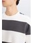 Antrasit Boxy Fit Bisiklet Yaka Çizgili Sweatshirt A9066AX24AU 8