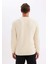 Standart Fit Normal Kesim Bisiklet Yaka Dokulu Triko Kazak C8814AX24WN 10