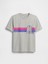 Erkek Çocuk Gri Kids Grafik T-Shirt 1