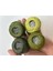 Almiş Perle Etamin-Kanaviçe 4 Lü Iplik Seti (10 Gr-No:8) 934-936-469-472 8