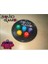 Flexıs We Make It Possıble For You Squıd Game Gongi Oyunu 5taş Renkli Yuvarlak Kutu 1