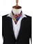 Bordo - Mavi Motif Desen Erkek Ascot Fular K647 1