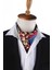 Bordo - Mavi Motif Desen Erkek Ascot Fular K647 2