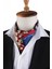 Bordo - Mavi Motif Desen Erkek Ascot Fular K647 3