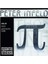 PL101 Peter Infeld 4/4 Medium Set Keman Teli 1