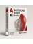 Autocad 2024 (Windows) - 1 Pc 2 Yıl Autodesk Key (Full Sürüm) 1