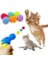 Interaktif Kedi Oyun Tabancası - Peluş Toplarla Eğlenceli Oyun Zamanı + Ekstra Peluş Toplar 2