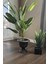 6 Litre Nergis Saksı Ayaklı Plastik Bahçe Balkon Saksısı No0 6