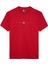 Erkek Tjm Reg Flag Linear Ss Tee Ext T-Shirts - Kırmızı 1