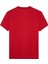 Erkek Tjm Reg Flag Linear Ss Tee Ext T-Shirts - Kırmızı 3