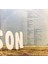 Sweet Surrender Euson Lp Plak 2