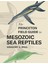 The Princeton Field Guide To Mesozoic Sea Reptiles 3