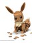 Bfs Nessiworld GMD34 Mega™ Pokémon™ Jumbo Eevee 824 Parça +10 Yaş 4